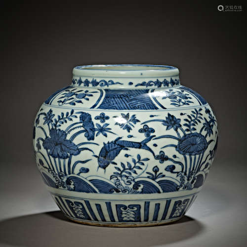 Ming Dynasty of China,Blue and White Jade Algae Pattern Jar