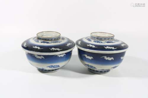 Pair Of Blue And White Porcelain 