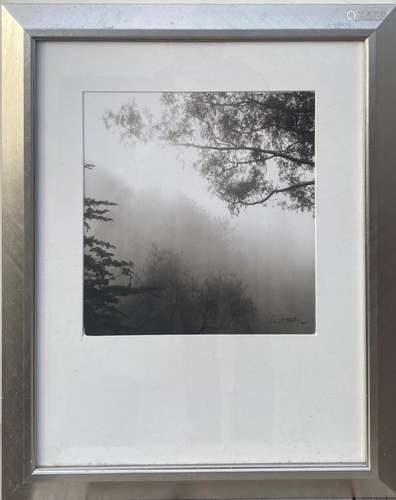 A Framed Photograph