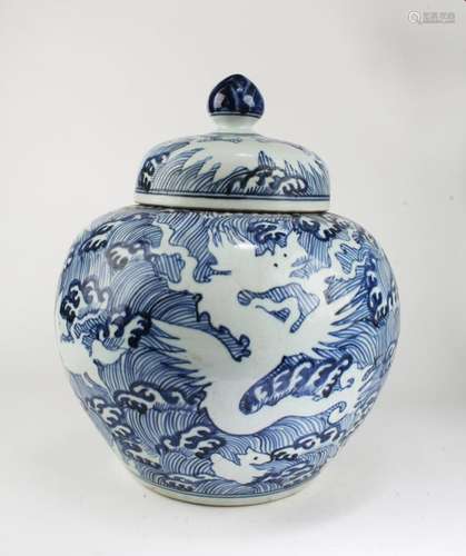 Chinese Blue & White Porcelain Jar