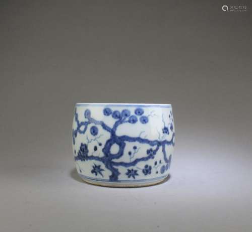 Chinese Blue & White Cricket Container