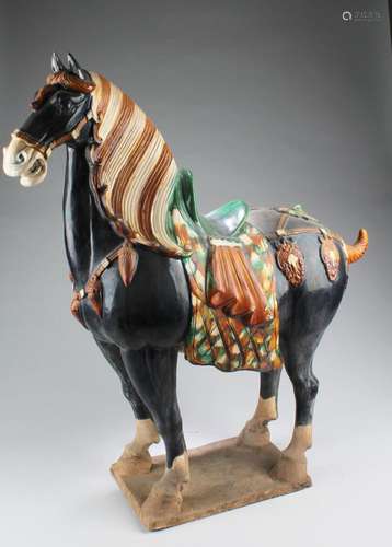 A Sancai Pottery Horse Statue