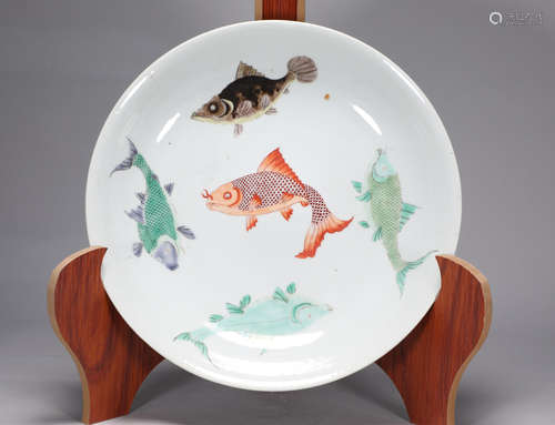 Colorful five fish plate of Kangxi in Qing Dynasty