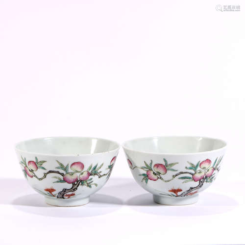 Famille Rose Porcelain 