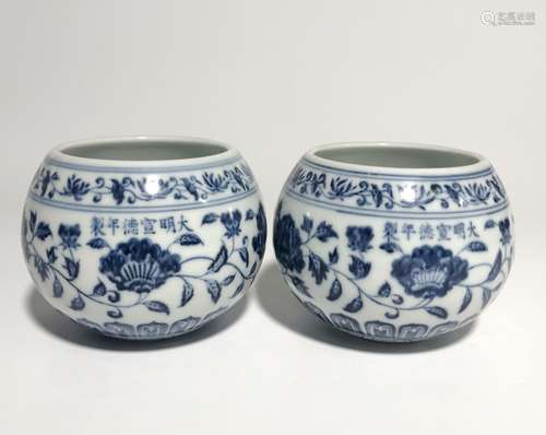 Pair of Chinese Blue and White Porcelain Jar