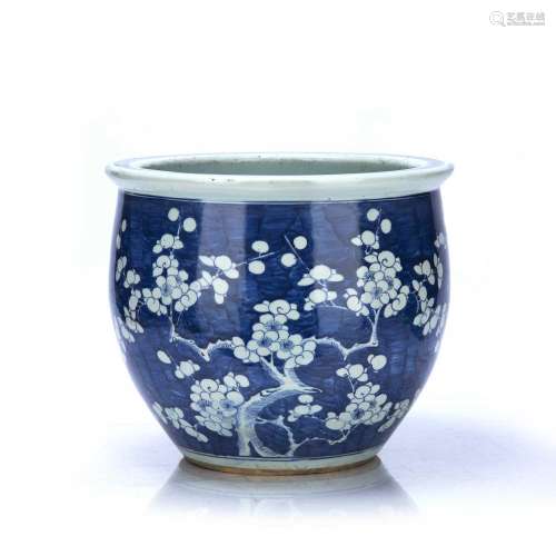 Blue and white porcelain jardiniere/fish tank