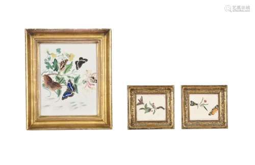 ENGLISH SCHOOL (EARLY 19TH CENTURY), THREE STUDIES OF INSECT...