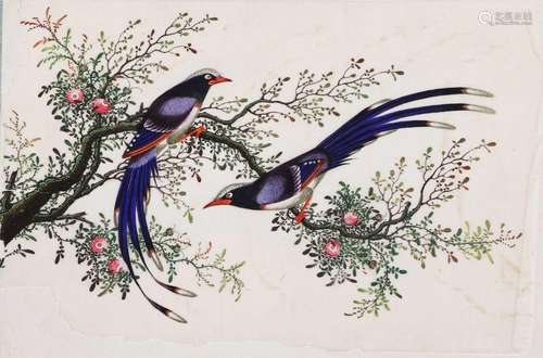 A Chinese pith paper painting album,