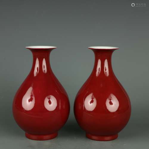 Qianlong Period of Chinese Qing Dynasty  Red Yuhu Spring Bot...