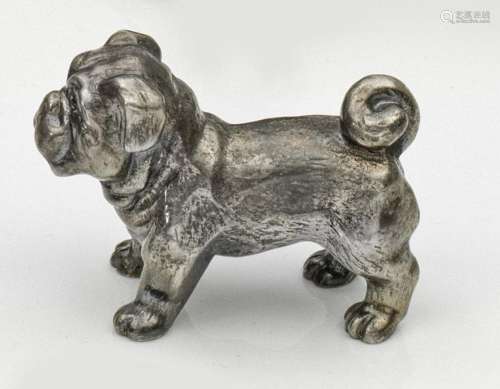 Miniatur-Bulldogge