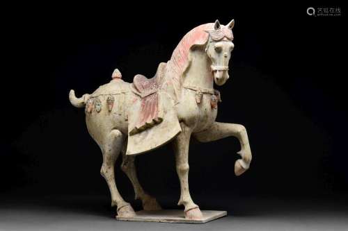 CHINESE TANG DYNASTY TERRACOTTA PRANCING HORSE - TL TESTED