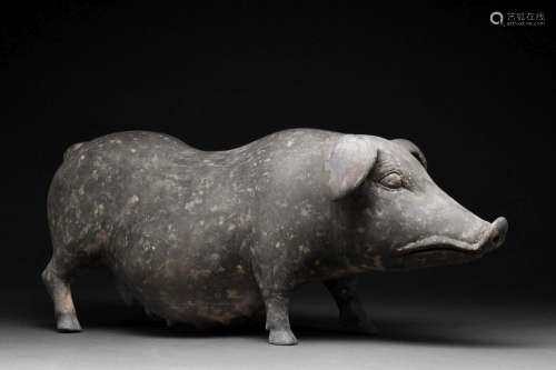 RARE CHINESE HAN DYNASTY TERRACOTTA BLACK PIG - TL TESTED