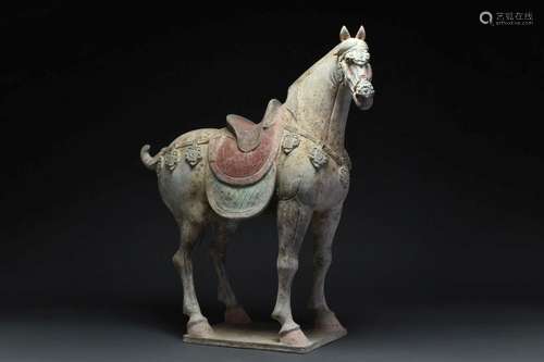 CHINESE TANG DYNASTY TERRACOTTA HORSE - TL TESTED