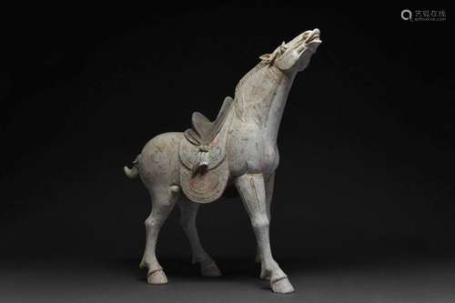 CHINESE TANG DYNASTY TERRACOTTA HORSE - TL TESTED