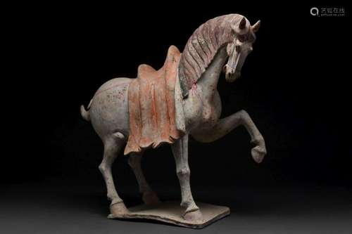 CHINESE TANG DYNASTY TERRACOTTA PRANCING HORSE - TL TESTED