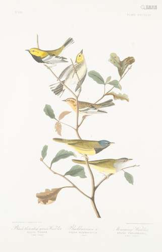 JOHN JAMES AUDUBON (AMERICAN 1785-1851), PRINTED BY ROBERT H...