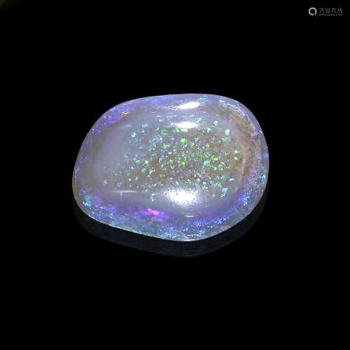 Fine, Colorful Opalized Clam Shell