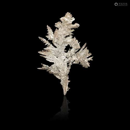 Exceptional Crystallized Native Silver