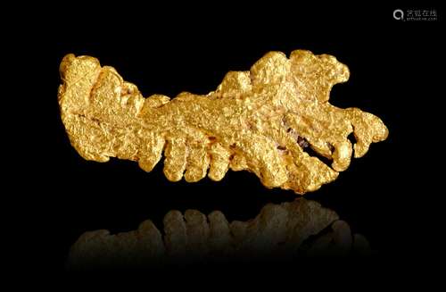 Zoomorphic Gold Specimen--"The Lobster"