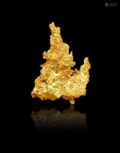 Gold Specimen--"Idaho"