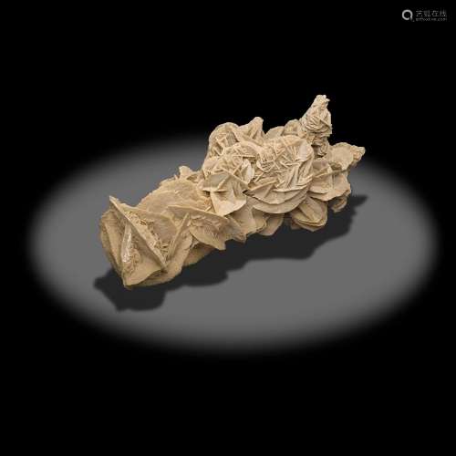 Exceptional "Desert Rose" Sand Selenite Display Sp...