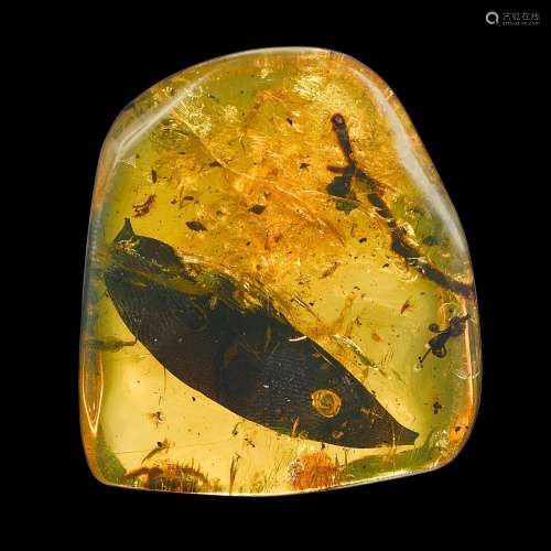 Leaf, Flower and Berry in Amber