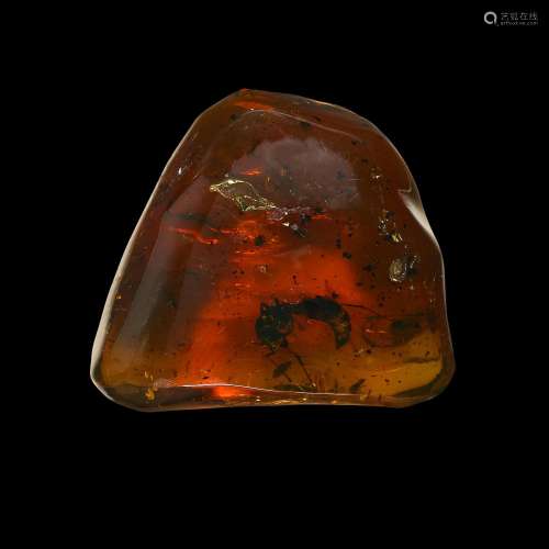 Giant Ant in Amber