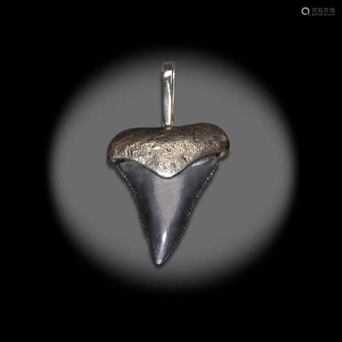 Megalodon Tooth and Silver Pendant