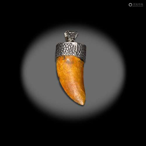 Tyrannosaurus tooth pendant