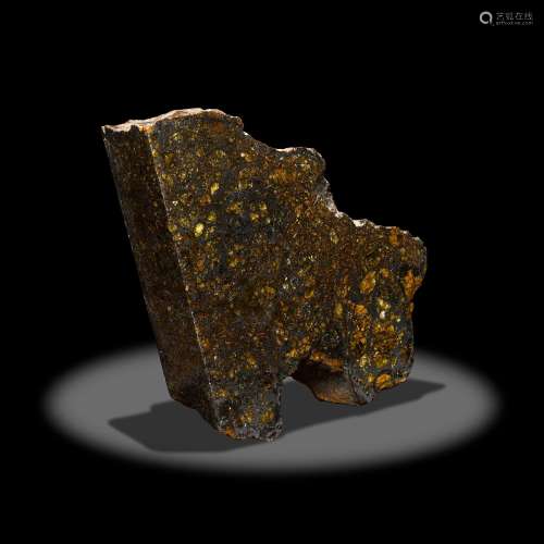 Admire Pallasite - Thick Slab