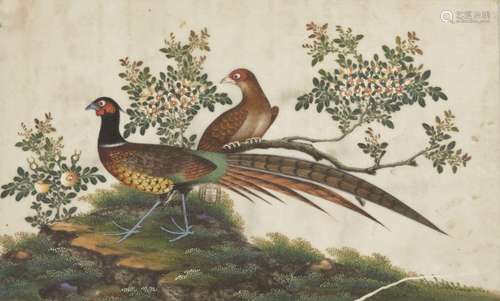 A Chinese gouache painting on pith paper, late 19th century,...