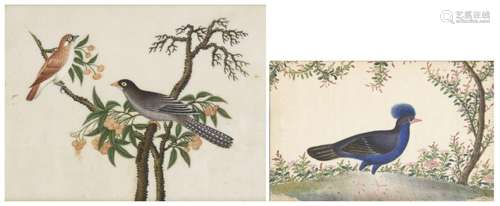 Two Chinese rice paper paintings of birds, late 19th century...