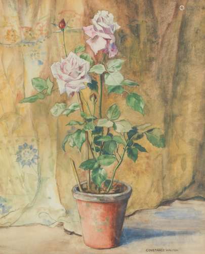 Constance Walton (British, 1866-1960) Potted rose 57.5 x 48c...