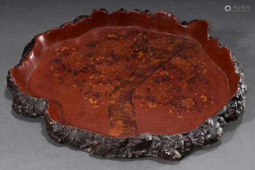 Japanese lacquer tray made of tree slice with bark rim and g...
