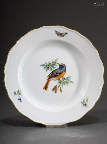 Meissen plate with polychrome "Bird Painting with Insec...