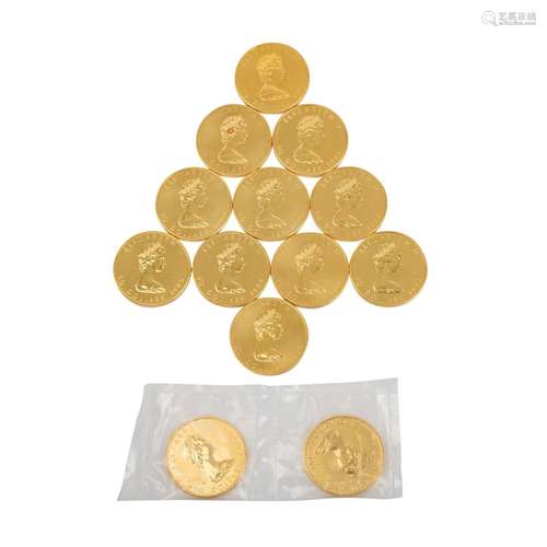 Kanada/GOLD - 13 x 1 oz. Maple Leaf,