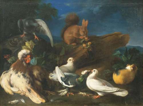 Franz Werner von Tamm (Hamburg 1658 - Wien 1724). Squirrel, ...