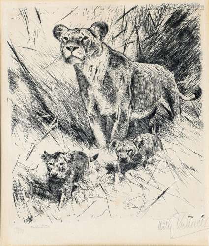 Wilhelm Kuhnert (Oppeln 1865 - Flims/CH 1926). Lioness with ...