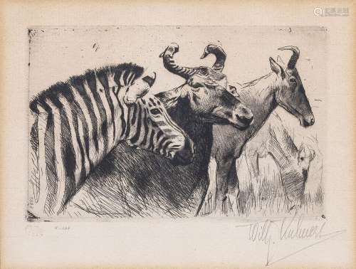 Wilhelm Kuhnert (Oppeln 1865 - Flims/CH 1926). Zebra and Gnu...