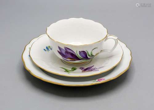 Teegedeck mit Krokus und Tulpe / A tea setting with crocus a...