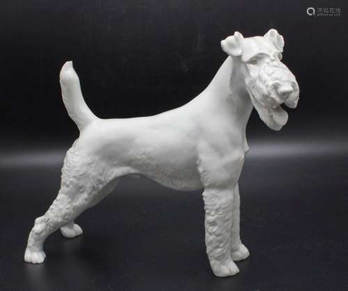 Porzellanfigur  Foxterrier  / A porcelain figure  Fox terrie...