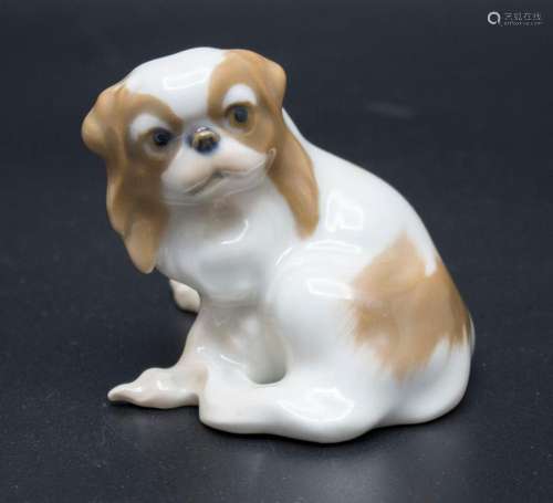 Tierfigur  Pekinese  / An animal figure of a Pekinese dog, B...