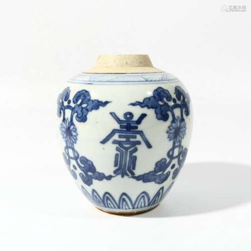Blue And White Porcelain Longevity Jar, China