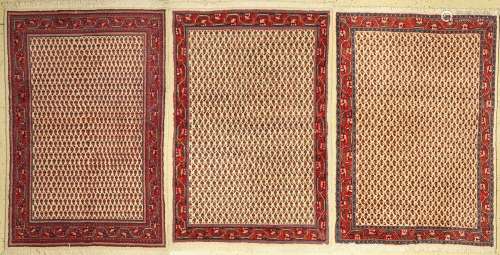 3 lots Saruk Mir, Persia, approx. 50 years, wool on cotton, ...