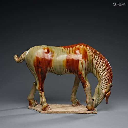 Tang Dynasty, Tri-Color Glazed,, Horse