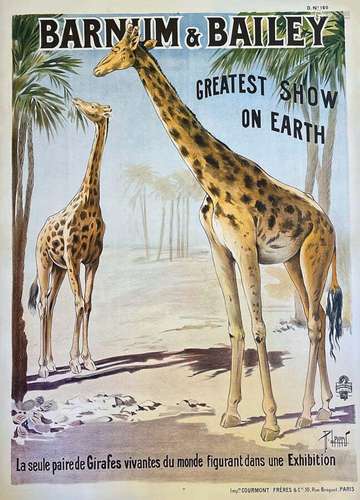 La Seule Paire de Girafes Vivantes du Monde Barnum & Bai...