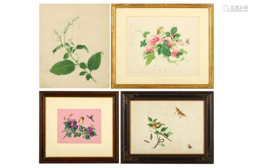 FOUR CHINESE BOTANICAL PAINTINGS. Qing Dynasty. Gouache on p...