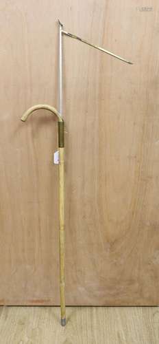 A horse measuring walking cane