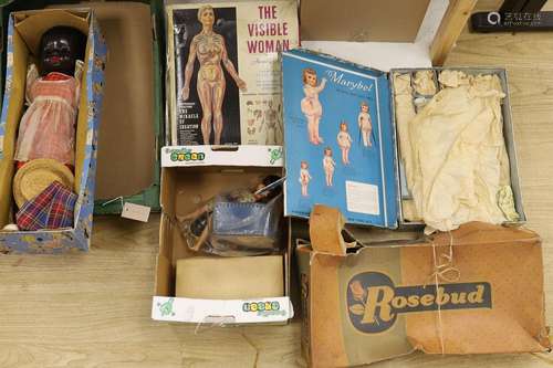 Three boxed dolls, The Visible Women and Cindy with cased cl...