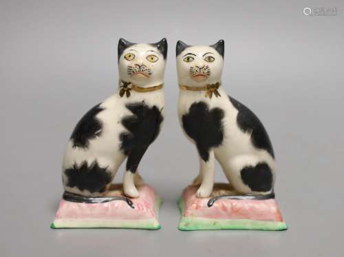 A pair of black and white Staffordshire cats - 10.5cm tall